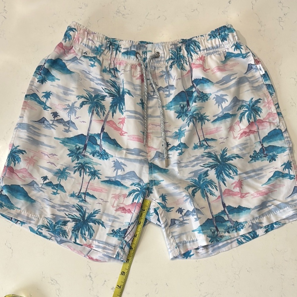Vintage Summer Men's 5” Swim Trunks